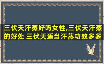 三伏天汗蒸好吗女性,三伏天汗蒸的好处 三伏天适当汗蒸功效多多